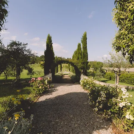 Nobile Cortona