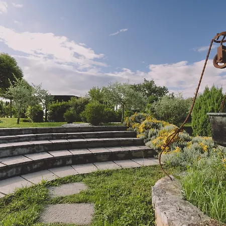 Nobile * Кортона