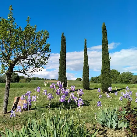 Nobile Cortona