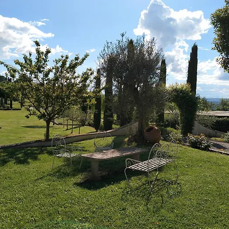 Nobile * Cortona